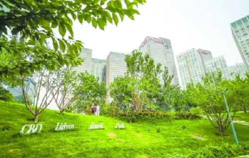 北京：CBD建起首個城市森林公園 