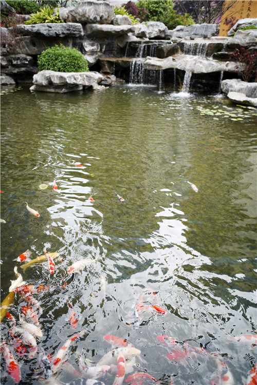 高宅大園　國風(fēng)賦新丨深圳泰禾金尊府