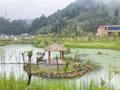 重慶：小微濕地點亮美麗鄉村