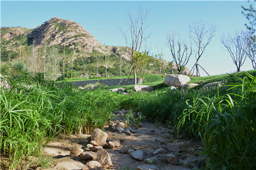易蘭設(shè)計(jì)｜秦皇島昌黎葡萄小鎮(zhèn)礦坑公園