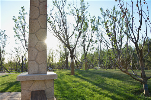 易蘭設(shè)計(jì)｜秦皇島昌黎葡萄小鎮(zhèn)礦坑公園