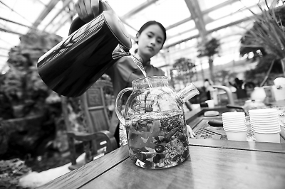 世園會百草園藥茶體驗成熱門