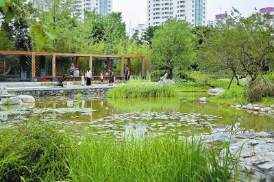 北京：小微濕地未來遍地“開花”