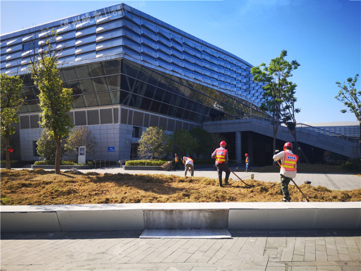 記者探營世界青科會開幕式場館：打造立體式精致園林景觀