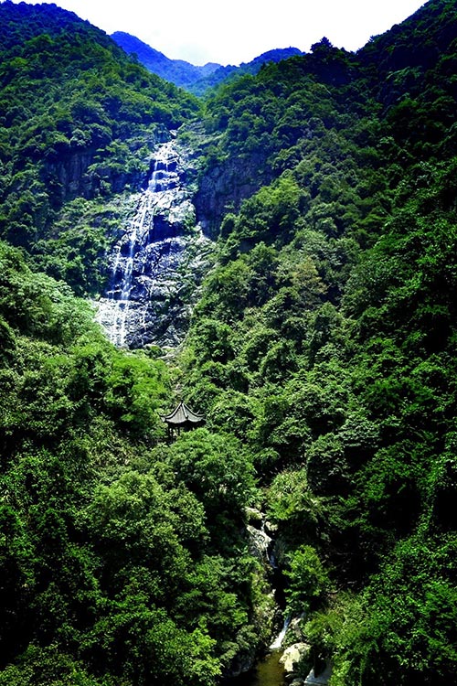 2019年園冶杯專業獎|廬山桃花源景區工程