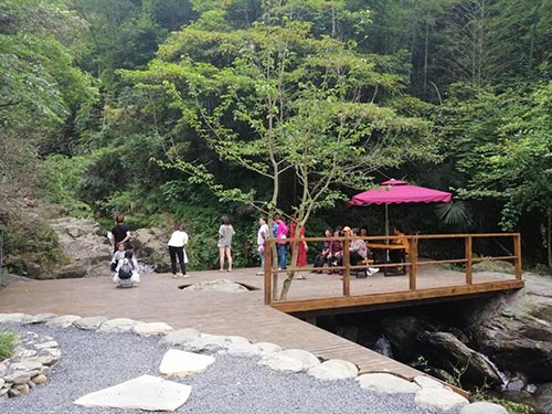 2019年園冶杯專業獎|廬山桃花源景區工程