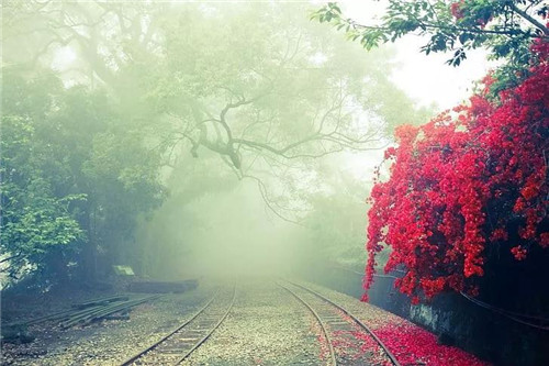 是鐵路也是風(fēng)景：線(xiàn)性文化遺產(chǎn)的活化利用