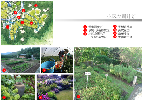 汪怡嘉：都市農業——以二澳農場為例