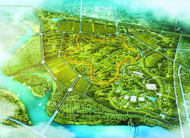 北京城市副中心5.5公里星形園路全線貫通，預(yù)計年底前增綠8000畝