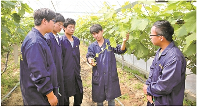 江蘇農林職院：創新模式構筑職業教育高地