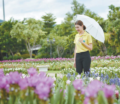 泰國皇家花園：透過園林和建筑藝術(shù)感知文化