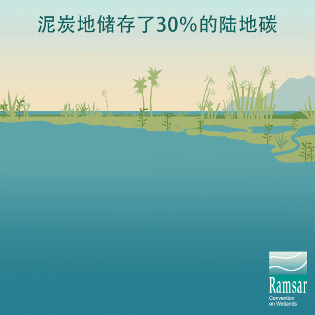 第24個(gè)世界濕地日：濕地與生物多樣性