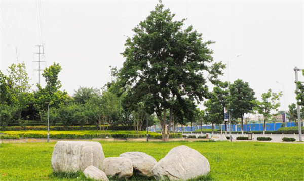 鄭港十路中央生態(tài)公園