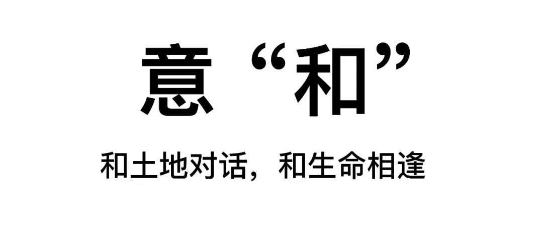 回歸初心，因“和”而來——南海·雁歸來
