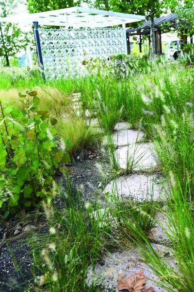 青島世園會景區殘破荒廢，網友建議打造成兒童體驗園
