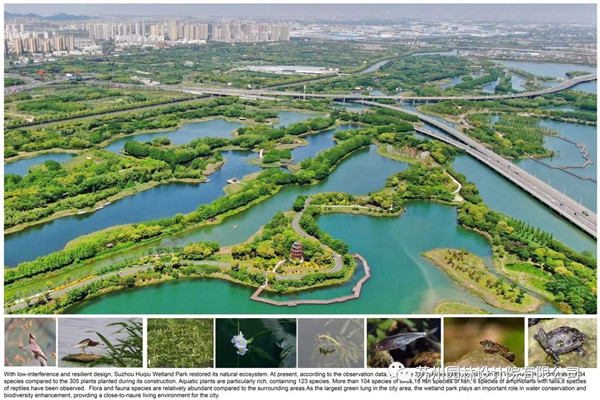 蘇州園林設計院榮獲2020（IFLA）AAPME杰出獎