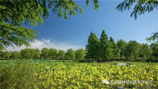 蘇州園林設計院榮獲2020（IFLA）AAPME杰出獎