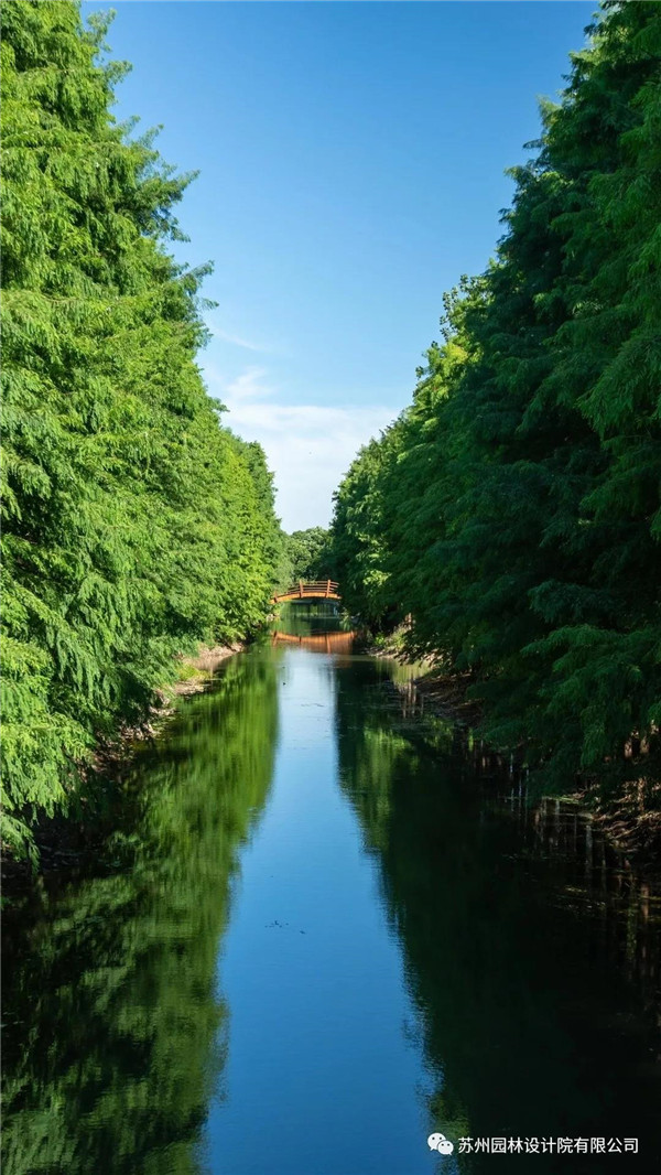 蘇州園林設計院榮獲2020（IFLA）AAPME杰出獎