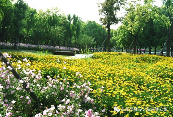 蘇州園林設計院榮獲2020（IFLA）AAPME杰出獎