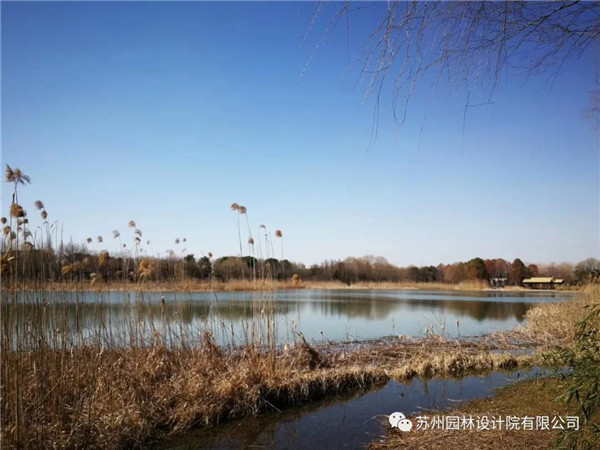蘇州園林設計院榮獲2020（IFLA）AAPME杰出獎