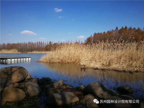 蘇州園林設計院榮獲2020（IFLA）AAPME杰出獎