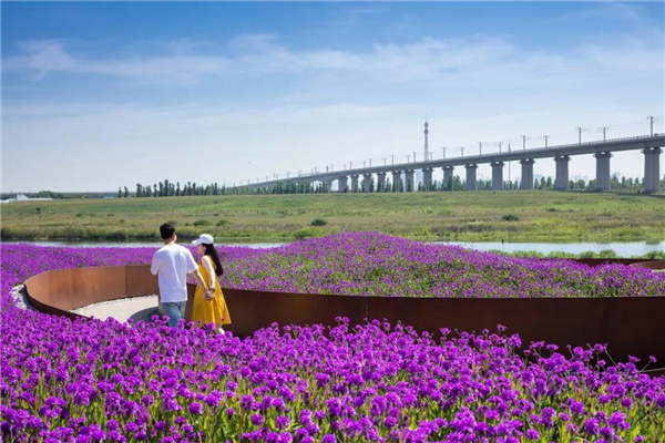 怡境景觀丨灃河濕地生態(tài)公園