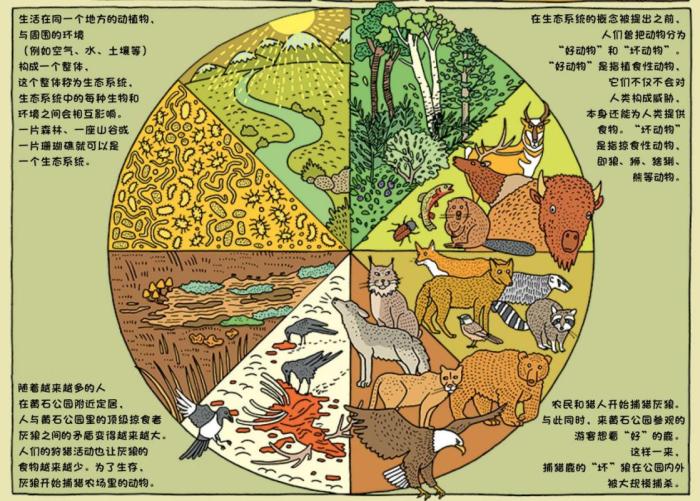 童書《世界國家公園》解鎖自然界的神奇百態(tài)