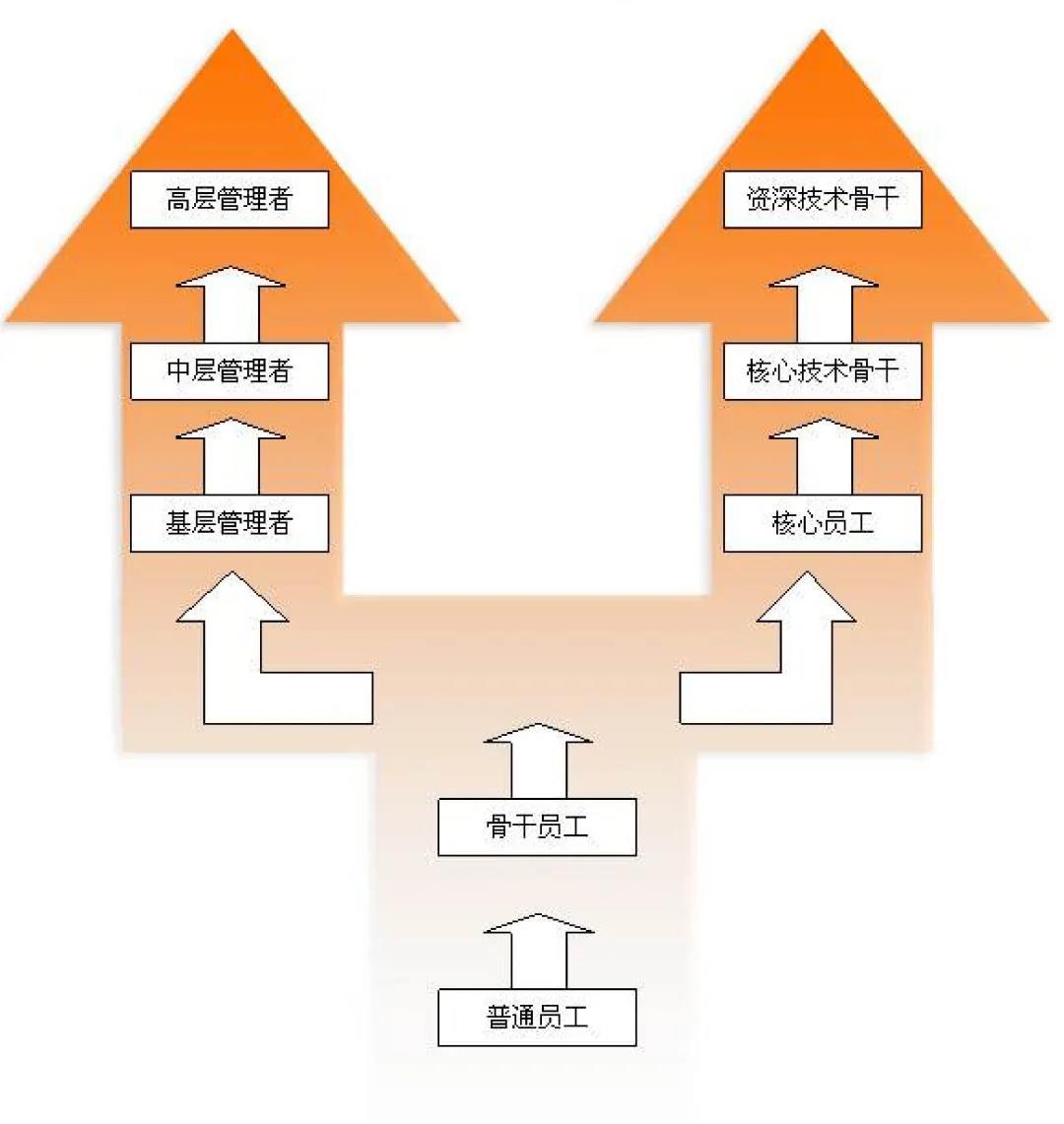 （全國(guó)）格林生態(tài)丨