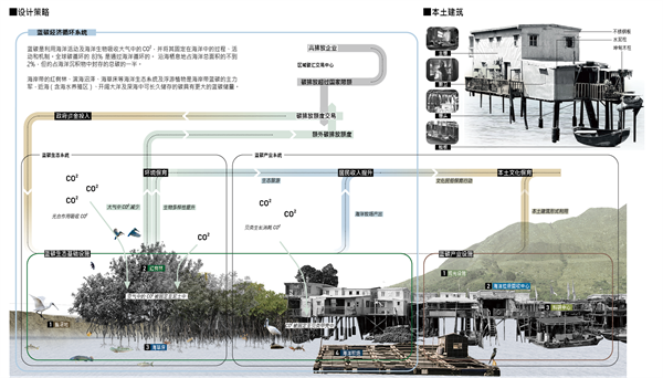 澳海興事——基于藍(lán)碳經(jīng)濟理念下的漁村產(chǎn)業(yè)轉(zhuǎn)型與生態(tài)保育綜合設(shè)計