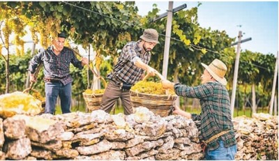 保護和推廣農業遺產在哪些方面獲得成功？