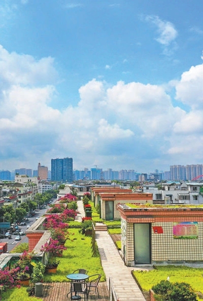 成都天府新區(qū)：讓公園城市有機(jī)生長