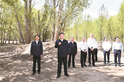 習近平：努力創(chuàng)造新時代中國防沙治沙新奇跡