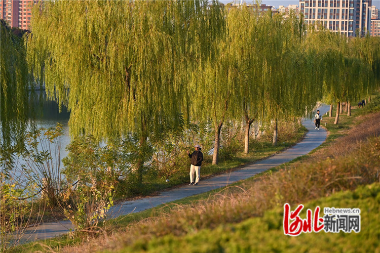 河北衡水建“一湖三區(qū)”綠廊，綠出高顏值美出高品質(zhì)