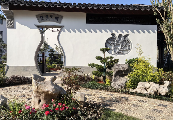 費家浜：特色田園鄉(xiāng)村建設(shè)讓無垠星空映照廣闊鄉(xiāng)村
