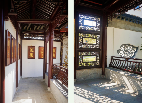 費家浜：特色田園鄉(xiāng)村建設(shè)讓無垠星空映照廣闊鄉(xiāng)村