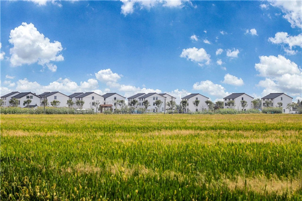 費家浜：特色田園鄉(xiāng)村建設(shè)讓無垠星空映照廣闊鄉(xiāng)村