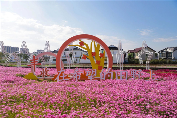 費家浜：特色田園鄉(xiāng)村建設(shè)讓無垠星空映照廣闊鄉(xiāng)村