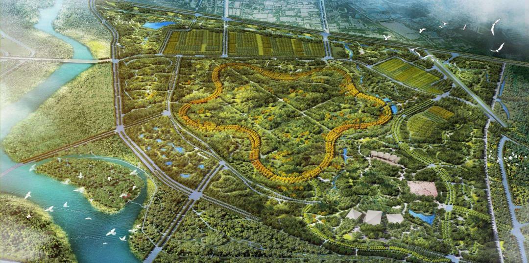北京城市副中心：一張規(guī)劃圖 照亮蝶變路