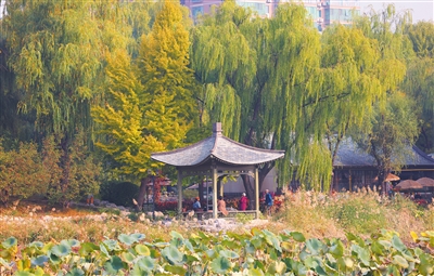 北京市推動(dòng)花園城市建設(shè)，5個(gè)區(qū)開展試點(diǎn)工作