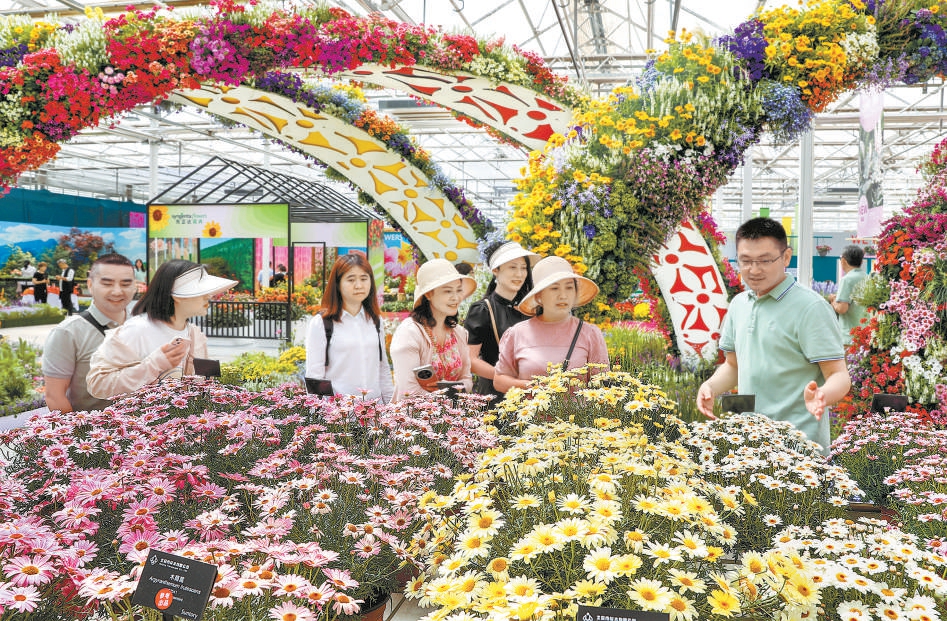 北京：19種新品花卉首發(fā)亮相春季花展