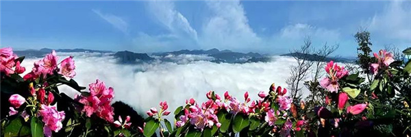瀘古高速服務區(qū)及周邊地塊城市設計競賽，邀您參加