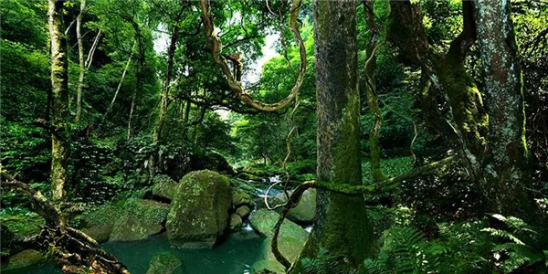 瀘古高速服務區(qū)及周邊地塊城市設計競賽，邀您參加