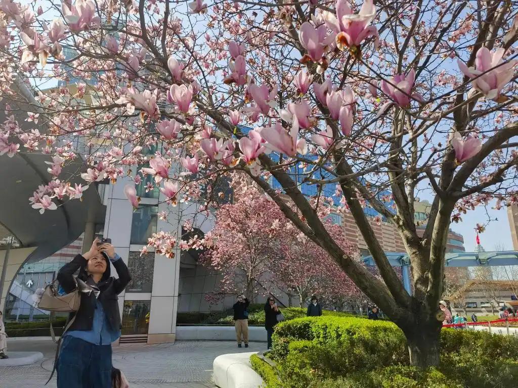 “踏青+”釋放文旅消費(fèi)潛力