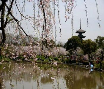 中國最美大學校園系列展示（十一）