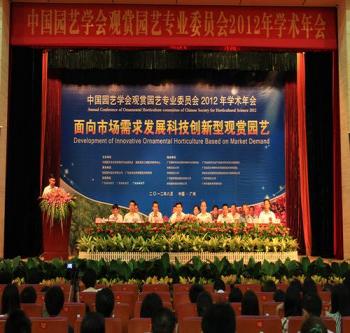 棕櫚園林面向市場發(fā)展堅持科技創(chuàng)新