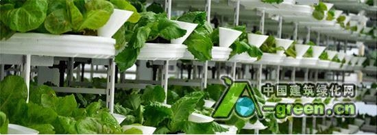 加拿大的第一個(gè)垂直農(nóng)場(chǎng)