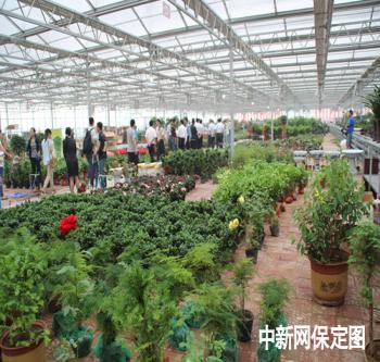 河北：保定生態(tài)園花卉展銷中心開業(yè) 開辟“花卉門診”