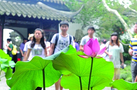 拙政園——荷葉上的園林