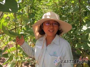 園藝工程師:植物園里勤勞的“綠色使者”
