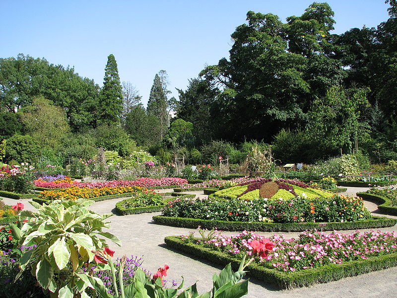 金頭公園花圃